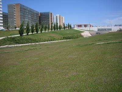 Cardoso Pires 2 Bedrooms Apt. Lisboa الغرفة الصورة